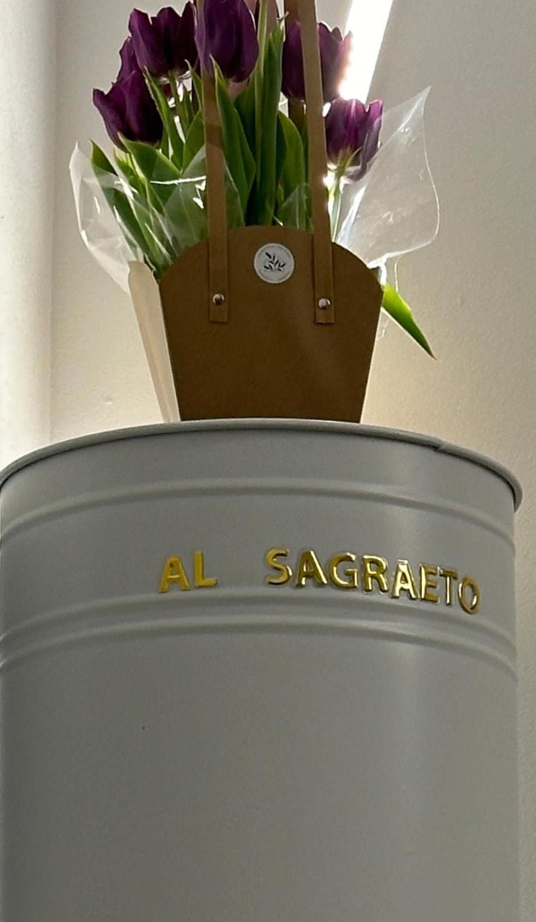 Hotel Al Sagraeto Chioggia Exterior foto